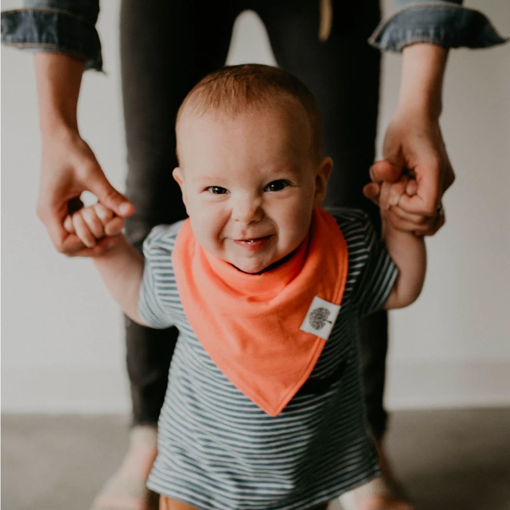 Parker Baby Co. Bandana Bibs Set (8 pack)